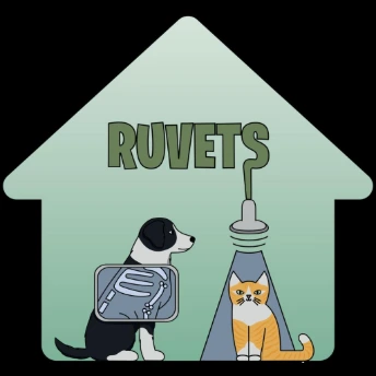 Ruvets